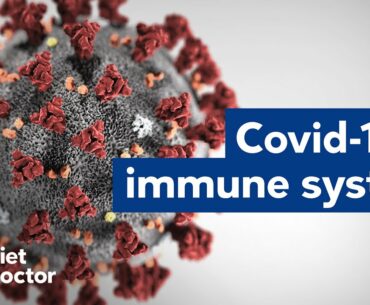 Boost your immune system to fight the corona virus