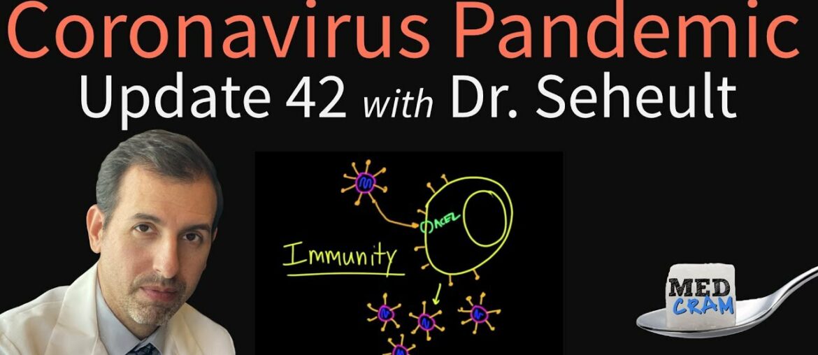 Coronavirus Pandemic Update 42: Immunity to COVID-19 and is Reinfection Possible?