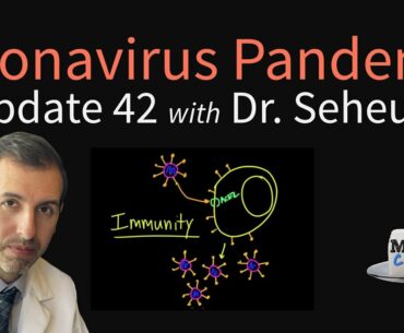 Coronavirus Pandemic Update 42: Immunity to COVID-19 and is Reinfection Possible?