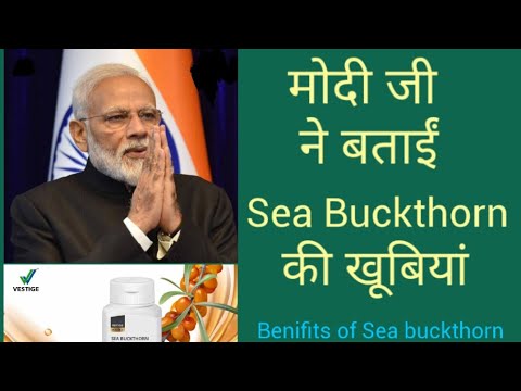 Most powerful Vitamin C, Immunity Booster by Prime minister Modi (Vestige Sea Buckthorn)