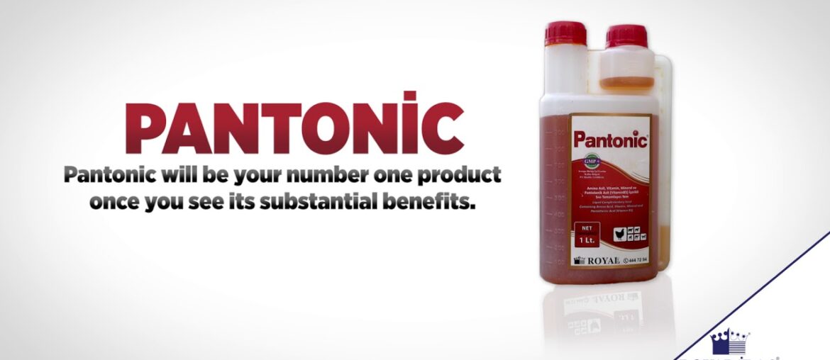 Pantonic : Liquid vitamins, amino acids and nucleotides supplement to boost immune system
