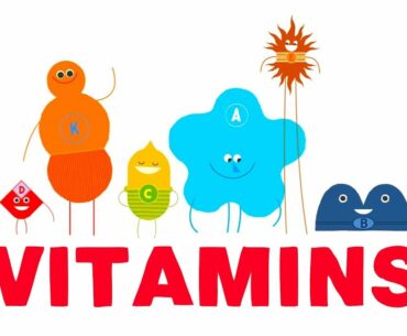 How do vitamins work? - Ginnie Trinh Nguyen