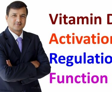 Vitamin D - Activation, Regulation and Function
