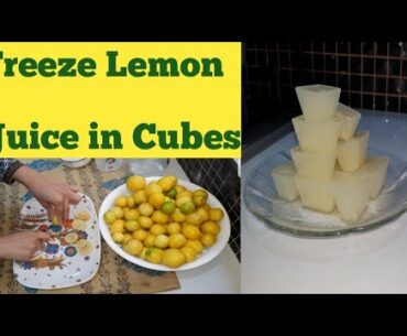 Freeze lemon juice || Vitamin c enriched juice || Strong your Immune system by vitamin c