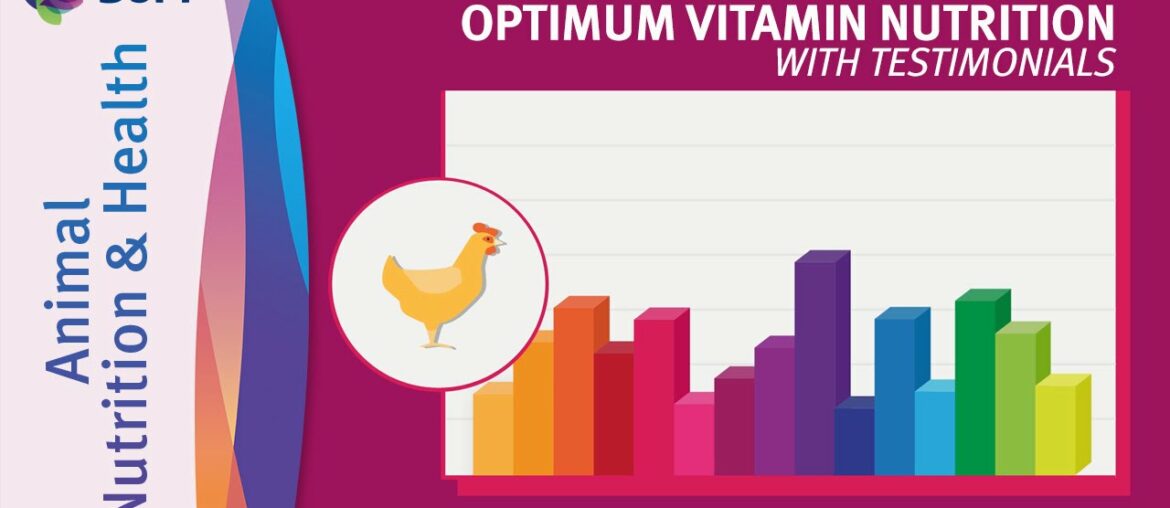 DSM's Vision on Optimum Vitamin Nutrition with Testimonials by DSM Animal Nutrition and Health