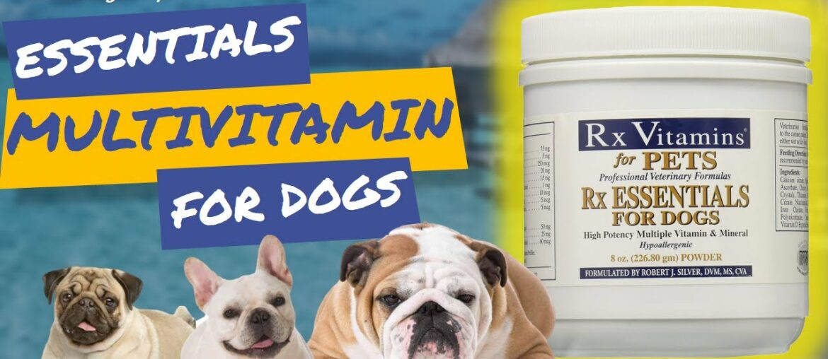 Rx Vitamins Essentials for Dogs - Vitamin & Mineral Multivitamin - Supports Immune System