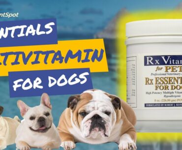 Rx Vitamins Essentials for Dogs - Vitamin & Mineral Multivitamin - Supports Immune System