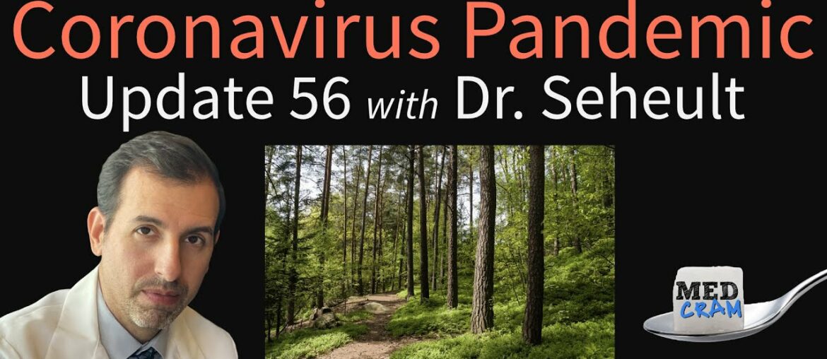 Coronavirus Pandemic Update 56: What is “Forest Bathing” & Can It Boost Immunity Against Viruses?