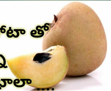 Sapota(Chikoo) can increase Immunity..? ll Sapota ll vitamin C ll vitamin A ll