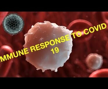 Immune response in Covid 19