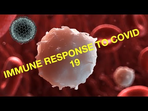 Immune response in Covid 19