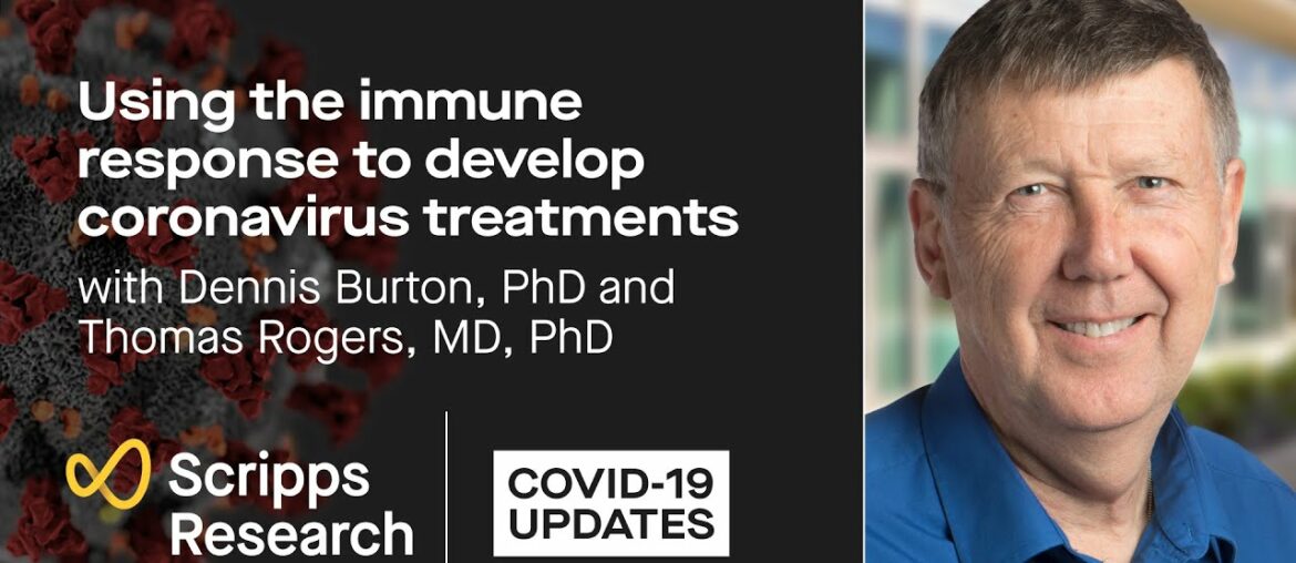 Using the immune response to develop coronavirus treatments and vaccines: COVID-19 updates