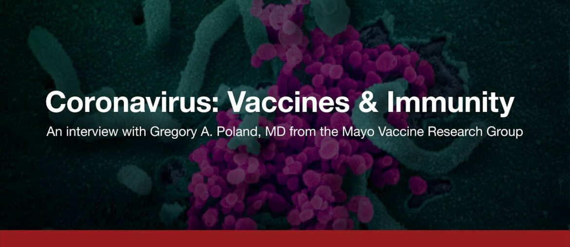 Coronavirus (COVID-19) Update: Vaccines and Immunity