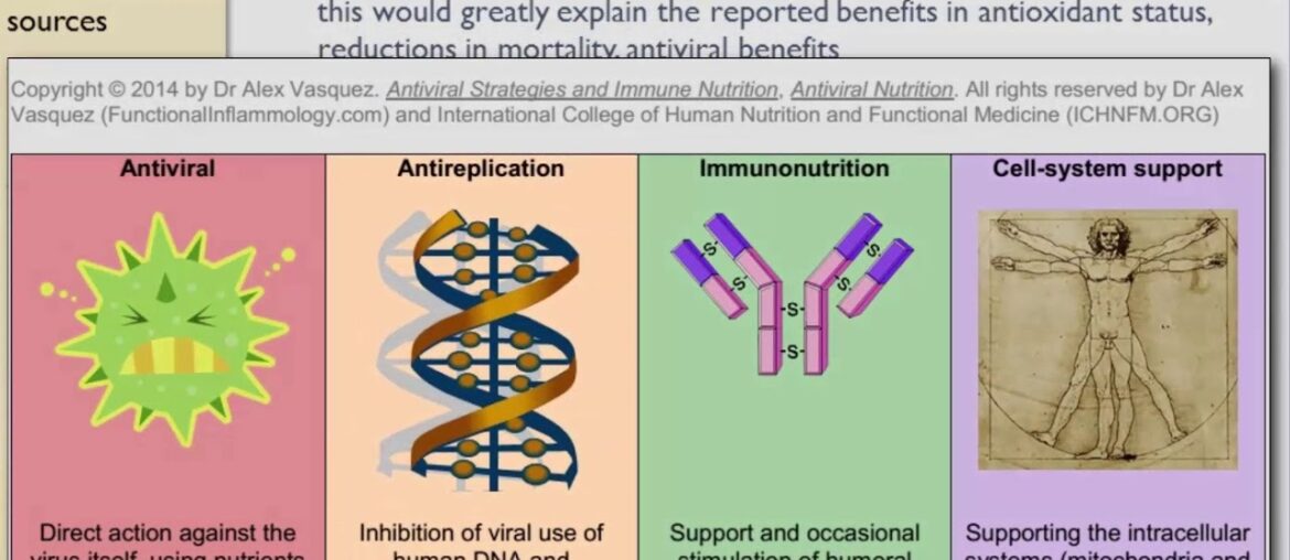 Antiviral Nutrition: Vitamin D against HPV (human papilloma virus)