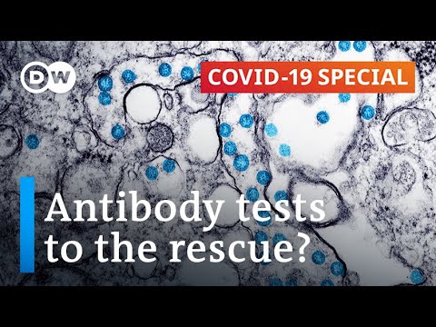 How coronavirus antibody tests work and why they matter | COVID-19 Special