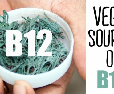 Sources of Vitamin B12 and B12 Supplements for a Vegan Diet | Fablunch