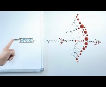 COVID-19 Frontline Ep.36: Process of immune response after infection