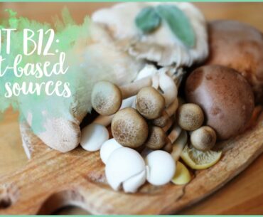 Plant-based vitamin B12 food & sources | Nutrition