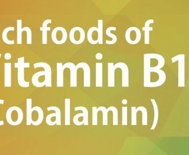 Rich foods of Vitamin B12 - GOOD FOOD GOOD HEALTH - BENEFITS OF WELLNESS