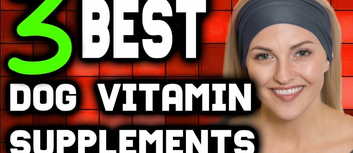 Best Dog Vitamin Supplements - Your Ultimate Guide