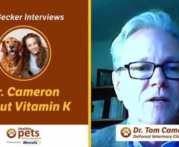 Dr. Becker Interviews Dr. Cameron About Vitamin K