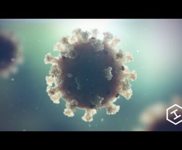 Coronavirus Animation: High Impact Demonstrates How COVID-19 Impacts the Body