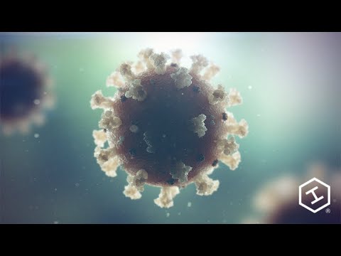 Coronavirus Animation: High Impact Demonstrates How COVID-19 Impacts the Body