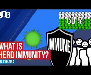 Coronavirus: What is herd immunity? | LBC