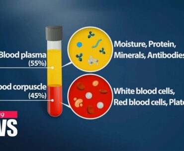 S. Korean researchers prove effectiveness of blood plasma treatment on COVID-19 patients