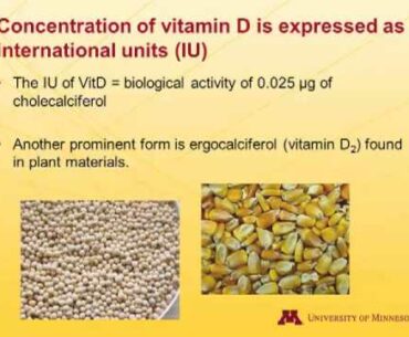 Dr. Pedro Urriola - Pig Nutritional Requirements for Calcium, Phosphorus and Vitamin D