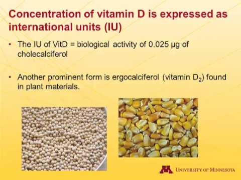 Dr. Pedro Urriola - Pig Nutritional Requirements for Calcium, Phosphorus and Vitamin D