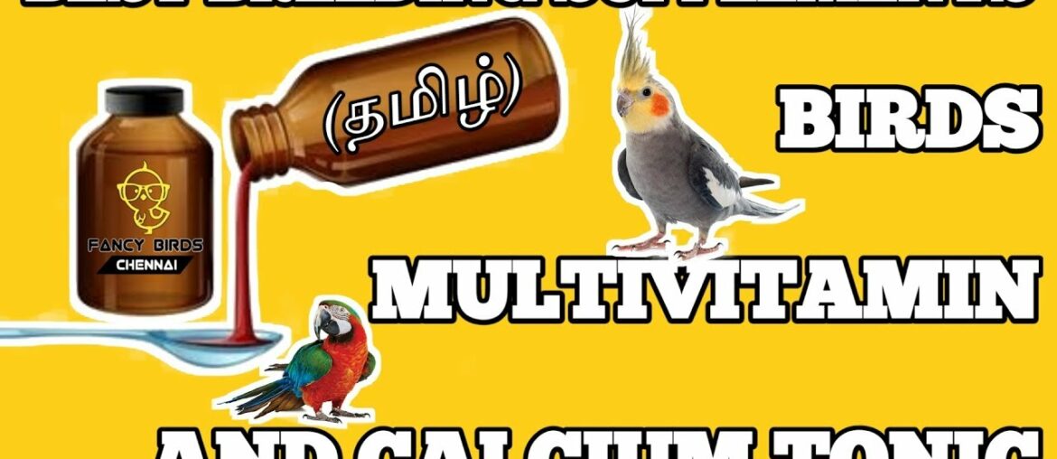 Best Breeding Supplements for Birds | Calcium | Vitamin | Tonic | தமிழில் | fancy birds chennai