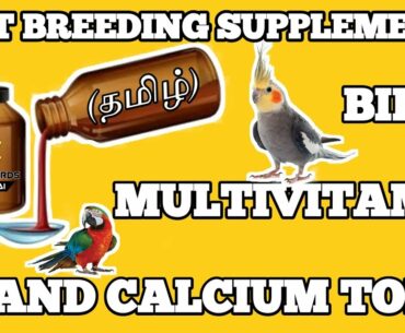 Best Breeding Supplements for Birds | Calcium | Vitamin | Tonic | தமிழில் | fancy birds chennai