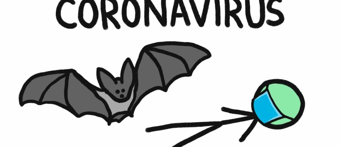 Why Do Bats Carry So Many Diseases? (like Coronavirus)