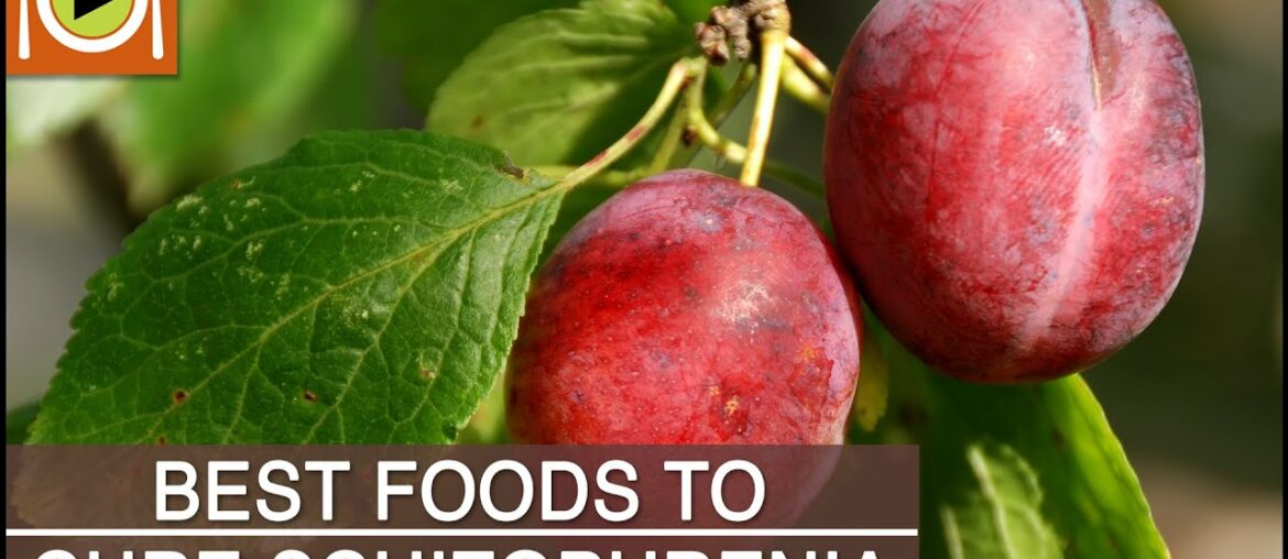 Best Foods to Cure Schizophrenia | Including Vitamin B3, Antioxidants & Omega 3 Rich Foods