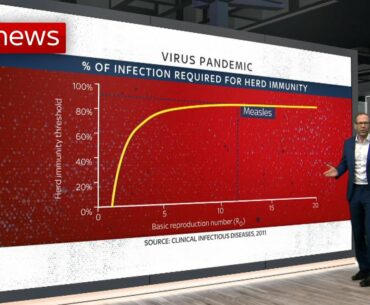 COVID-19: What is herd immunity?