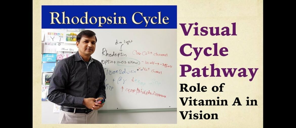 Visual Cycle and Vitamin A