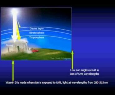 Prospects for Vitamin D Nutrition (1 of 5)