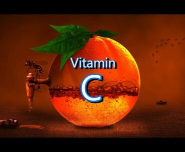 FittDroid | Vitamin C - Sea of Health Benefits