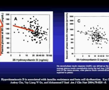 Prospects for Vitamin D Nutrition (5 of 5)