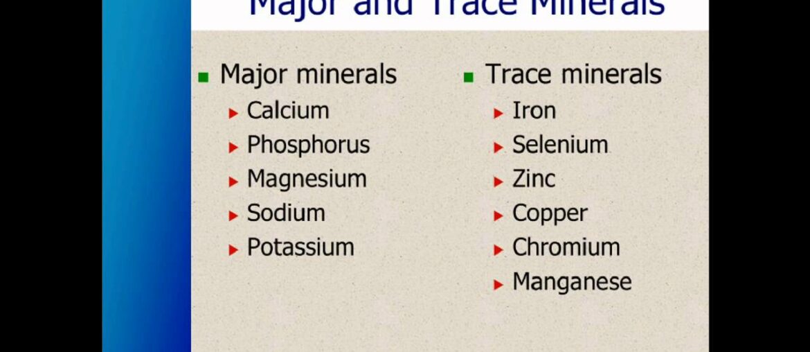 Vitamin Supplements & Minerals Needed To Optimize Your Body & Health