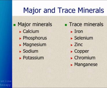 Vitamin Supplements & Minerals Needed To Optimize Your Body & Health