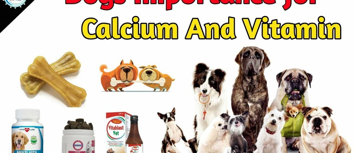 Calcium And Vitamins Are  Important for Dog  ? / Calcium Supplements For Puppy And Dog  / At Mix