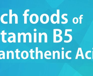RICH FOODS OF VITAMIN B5 PANTOTHENIC ACID - GOOD FOOD GOOD HEALTH - BENEFITS OF WELLNESS