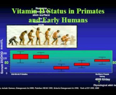 Prospects for Vitamin D Nutrition (2 of 5)