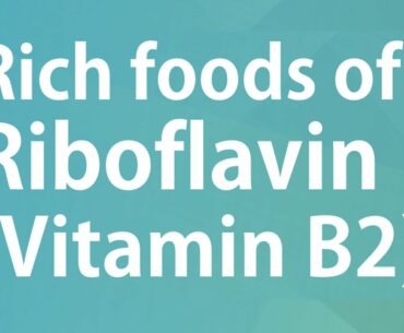 RICH FOODS OF RIBOFLAVIN VITAMIN B2 - GOOD FOOD GOOD HEALTH - BENEFITS OF WELLNESS