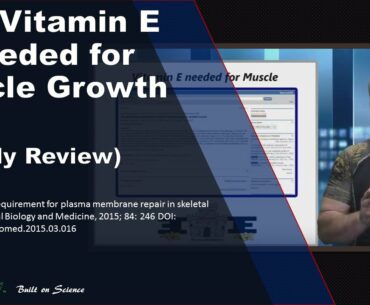 💪 Why Vitamin E is needed for Muscle Growth
