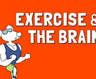 Exercise and the Brain