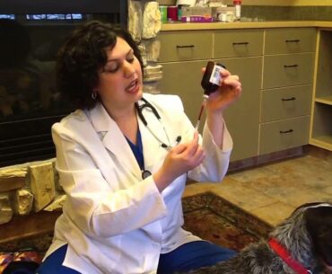 Vitamin B12 Injections by Animal Wellness Center of Maple Grove