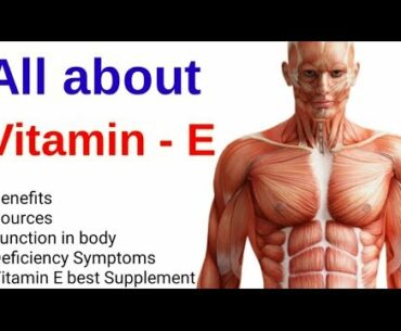 Vitamin E Functions In Our Body |Hindi| Vitamin E Source - Supplements